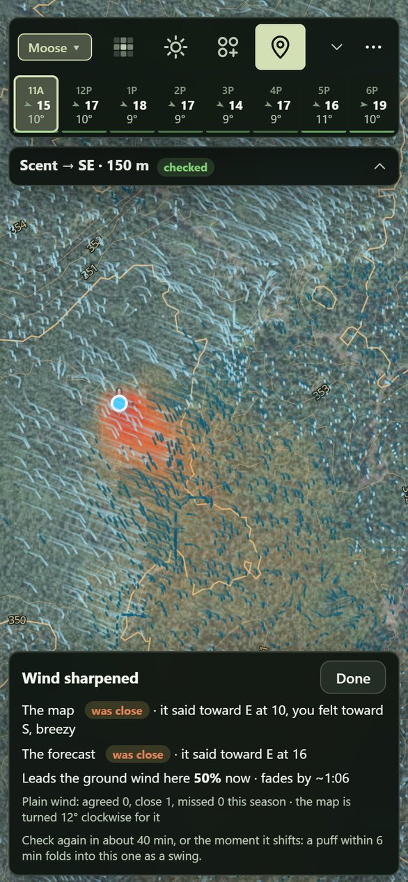 The Wind sharpened card after a check: what the map said and what the forecast said, against what was felt